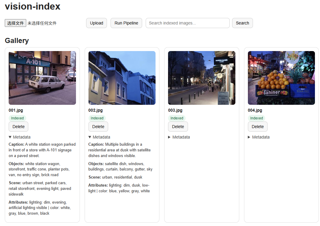 vision-index project preview